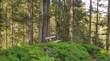 © Dorothea Nachbaur