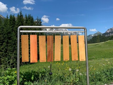 © Alpenregion Bludenz Tourismus GmbH