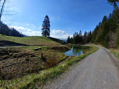 © Dajana Baumgartner