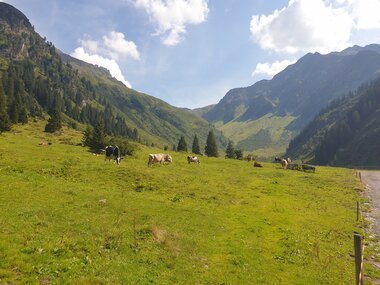 © Danja Sutterlüty