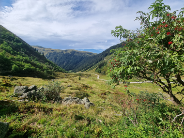 © Danja Sutterlüty