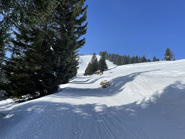 © Dajana Baumgartner