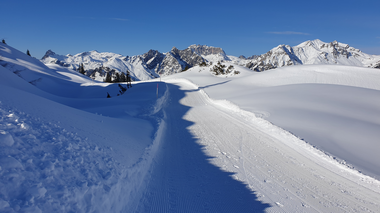 © Danja Sutterlüty