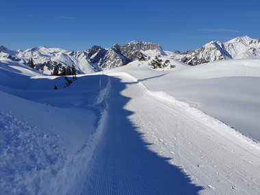 © Danja Sutterlüty